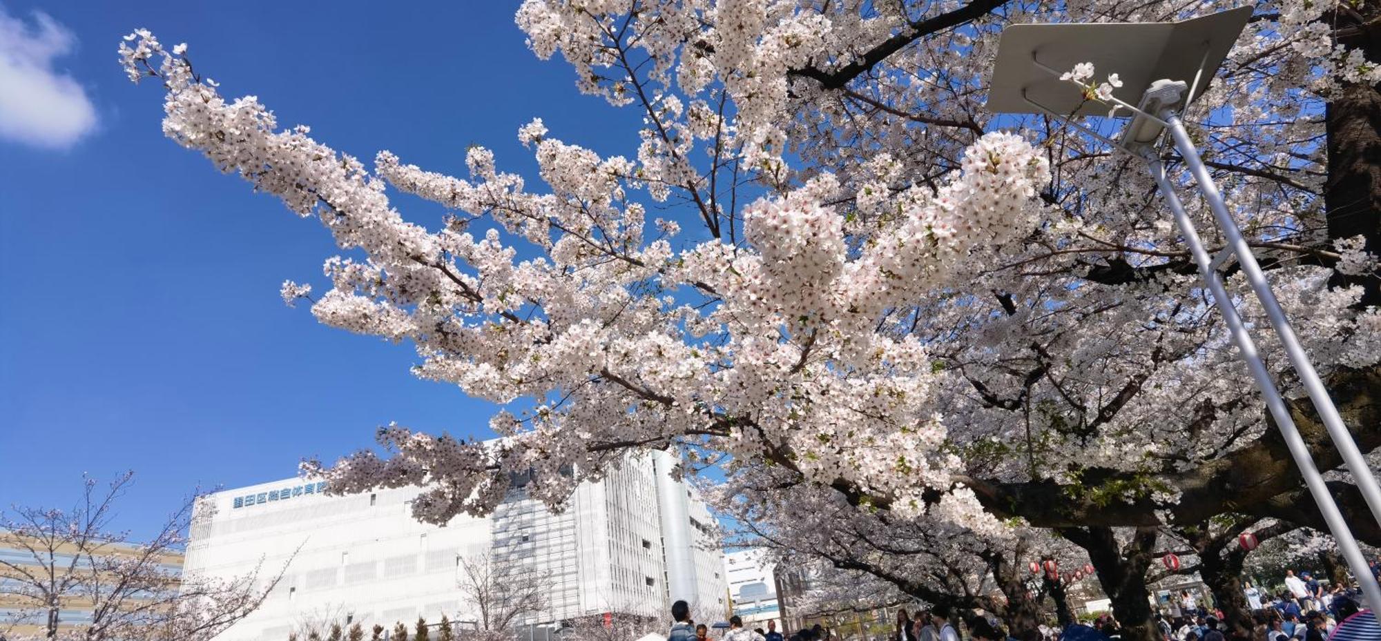 明月楼三零二 Apartment โตเกียว ภายนอก รูปภาพ